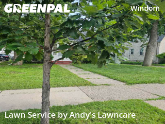 Grass Cut nearby Minneapolis, MN, 