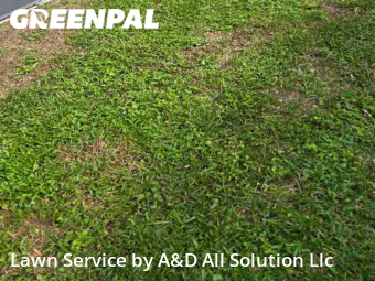 Lawn Cutting nearby Orlando, FL, 