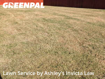 Yard Work in Temple, 76502, Garden Trimming by Ashley's Invicta Law, work completed in Dec , 2025