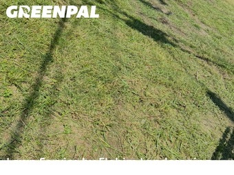 Grass Cuttingin Conroe,77303,Lawn Care Service by Elohim Landscaping, work completed in Nov , 2025