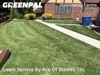 Lawn Care Service nearby Columbus, OH, 