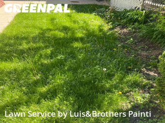 Lawn Care Service nearby Cicero, IL, 