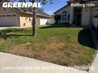 Lawn mowing work completed in Chula Vista, CA