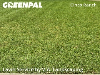 Lawn Cut nearby Katy, TX, 