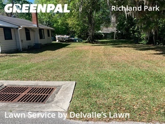 Lawn Cut nearby Daytona Beach, FL, 