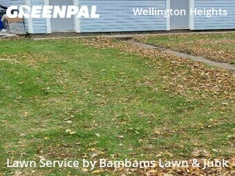 Lawn Care Service nearby Cedar Rapids, IA, 