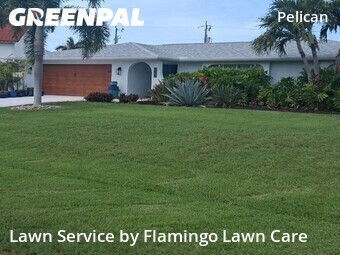 Lawn Care nearby Cape Coral, FL, 