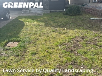 Lawn mowed in Renton, 98055