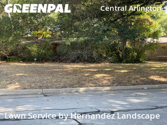 Grass Cutting nearby Arlington, TX, 