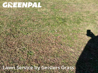 Yard Cutting nearby Parkville, MD, 