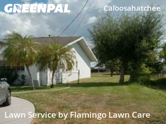Landscaping Maintenance in Cape Coral, 33904, Yard Care Services by Flamingo Lawn Care, work completed in Oct , 2025