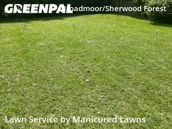 Lawn Mow nearby Baton Rouge, LA, 