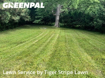 Grass Cut nearby Bellevue, NE, 