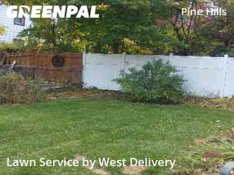 Grass Cut nearby Albany, NY, 