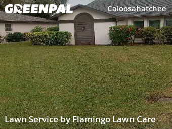 Lawn mowed in Cape Coral, 33904