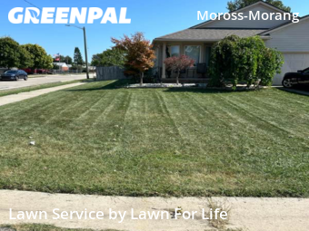 Lawn Care nearby Detroit, MI, 