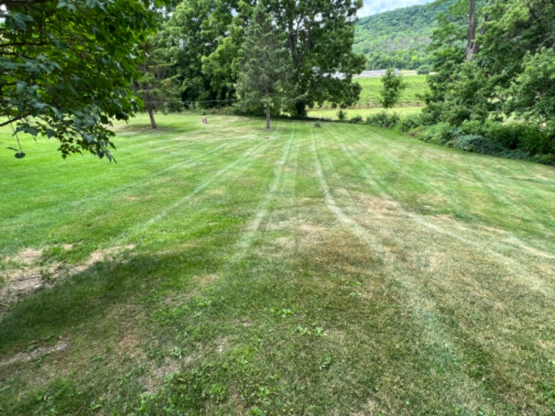 Northoplawnlandscape Lawn Care Services in Penn Yan, NY