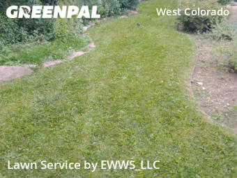 Lawn Maintenance nearby Manitou Springs, CO, 