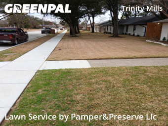 Lawn mowed in Carrollton, 75006