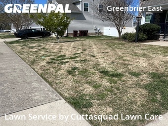 Lawn Mow nearby Chesapeake, VA, 