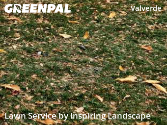 Lawn Mowingin Denver,80219,Lawn Service by Inspiring Landscape, work completed in Feb , 2026