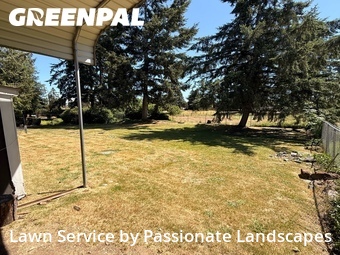 Grass Cut nearby Parkland, WA, 