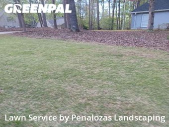 Lawn Maintenance nearby Cumming, GA, 