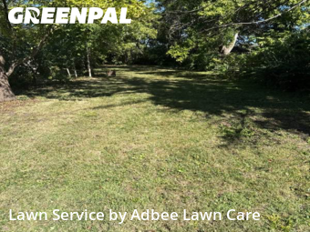 Yard Maintenance in Champaign, 61821, Grass Cutting by Adbee Lawn Care, work completed in Nov , 2025