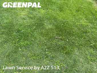 Lawn Cutting nearby Cincinnati, OH, 