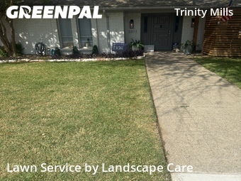 Lawn Maintenance nearby Carrollton, TX, 