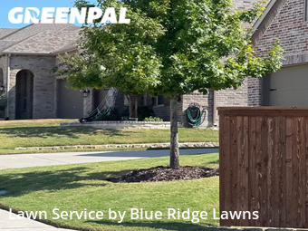 Grass Cutting nearby Princeton, TX, 
