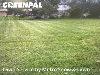 Lawn Service nearby Sterling Heights, MI, 