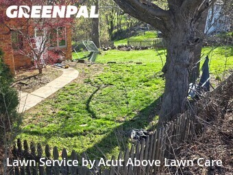 Lawn mowed in Bethel Park, 15102
