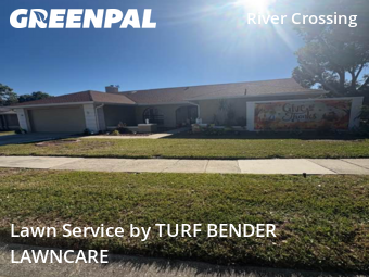 Lawn Cut nearby New Port Richey, FL, 