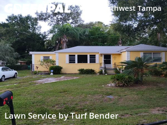 Lawn Mow nearby Tampa, FL, 