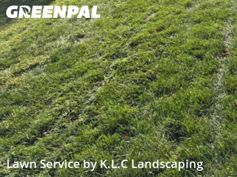Lawn Care nearby Mc Cordsville, IN, 