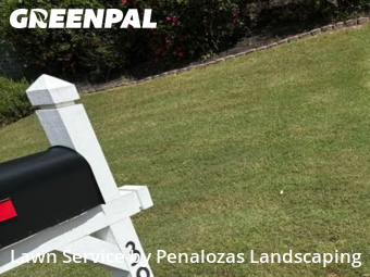 Lawn Cutting nearby Suwanee, GA, 