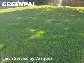 Grass Cut nearby Mt. Juliet, TN, 