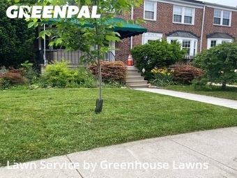 Lawn Cutting nearby Baltimore, MD, 