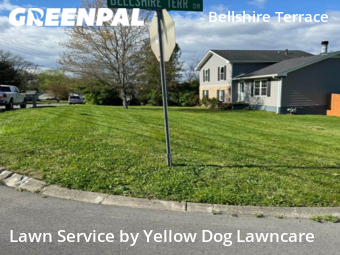 Yard Mowing nearby Nashville, TN, 