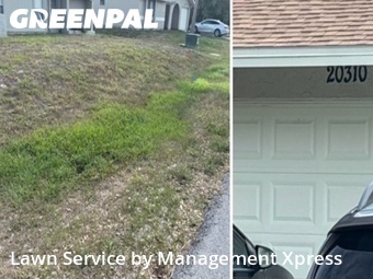 Yard Cutting nearby Port Charlotte, FL, 