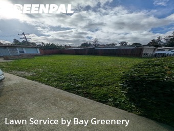 Work completed by grass-cutting-businesses-in-Sunnyvale-CA