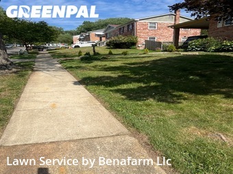 Yard Mowing nearby District Heights, MD, 