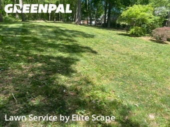 Lawn Cutting nearby Mooresville, NC, 