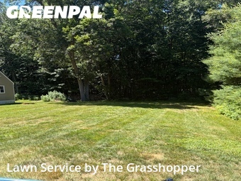 Lawn mowed in Colchester, 6415