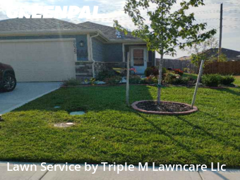 Lawn Servicein Blue Springs,64014,Lawn Service by Triple M Lawncare Llc, work completed in Nov , 2025
