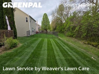 Lawn mowed in Indianapolis, 46237