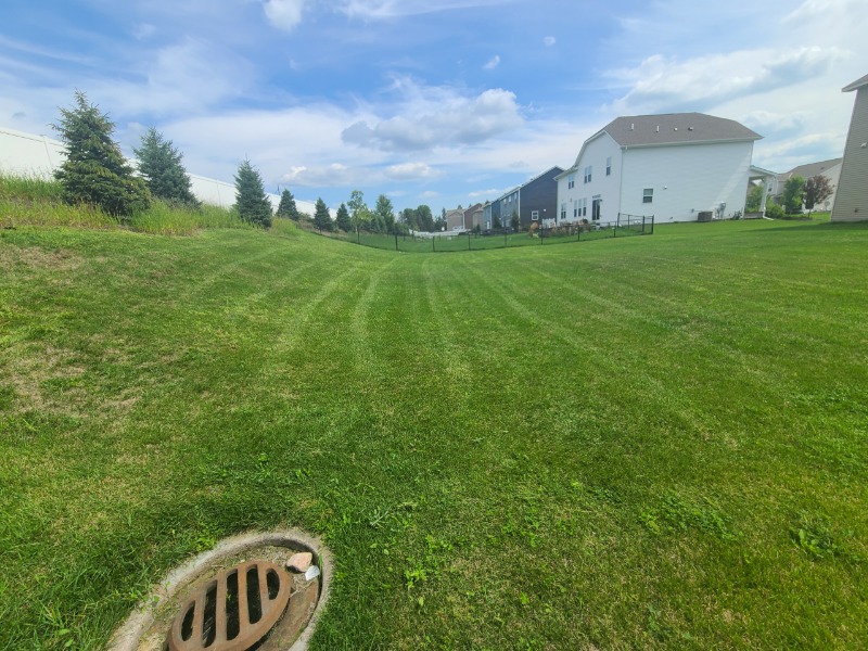 Procare Lawns Lawn Care Services in Inver Grove Heights, MN