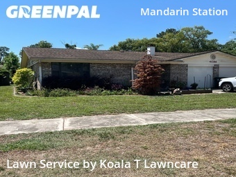 Grass Cutting nearby Jacksonville, FL, 