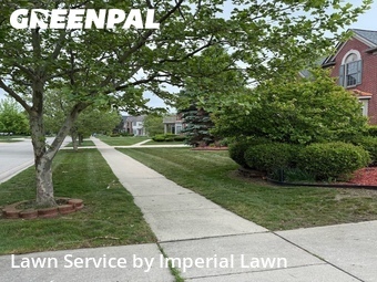 Yard Mowing nearby Canton, MI, 